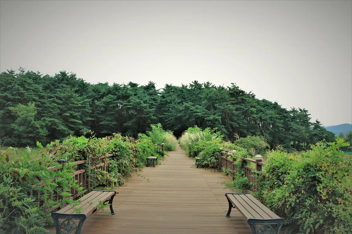 Journal Prompts for Starting Over: 25 Questions for New Beginnings